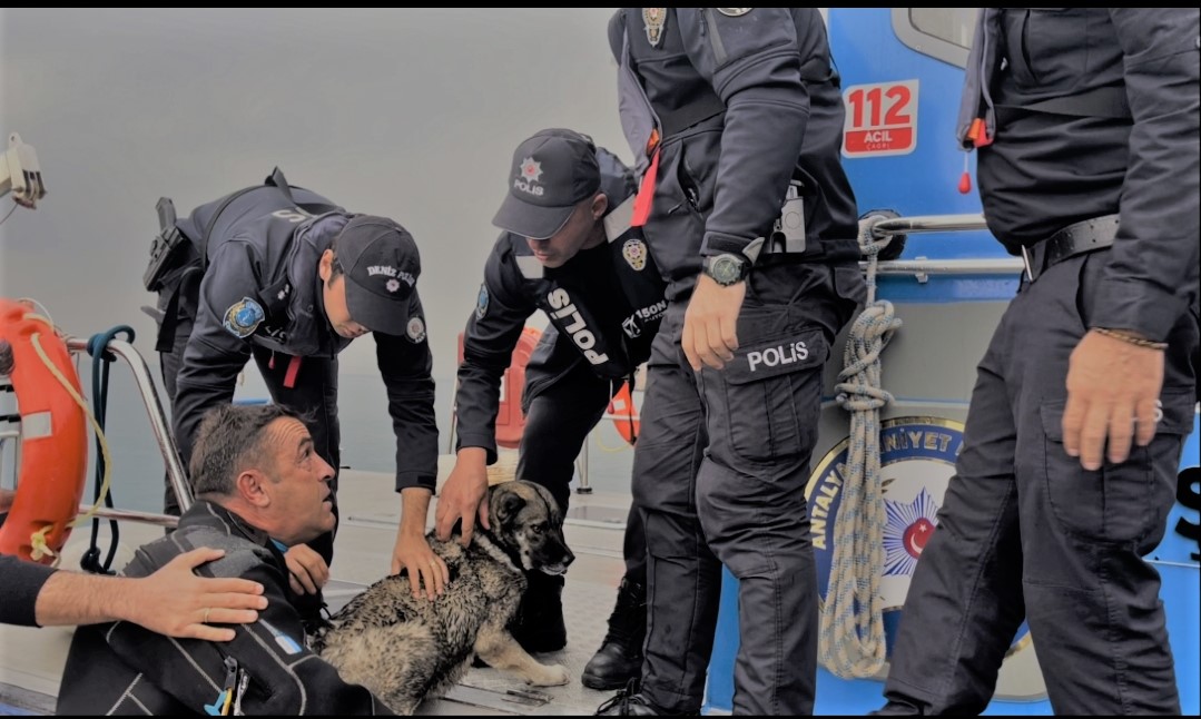 Falezlerde Mahsur Kalan Köpeği Deniz Polisimiz Kurtardı      